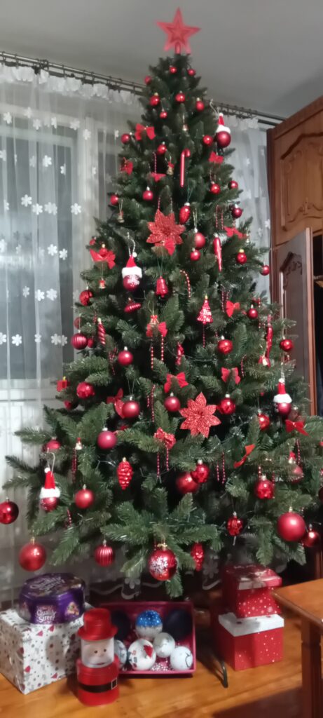 Image #1 from Carmen M.