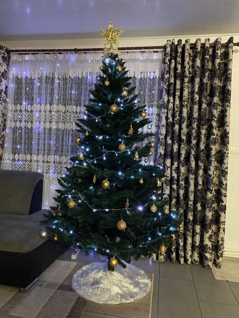 Image #1 from Anca Maria Dragomir