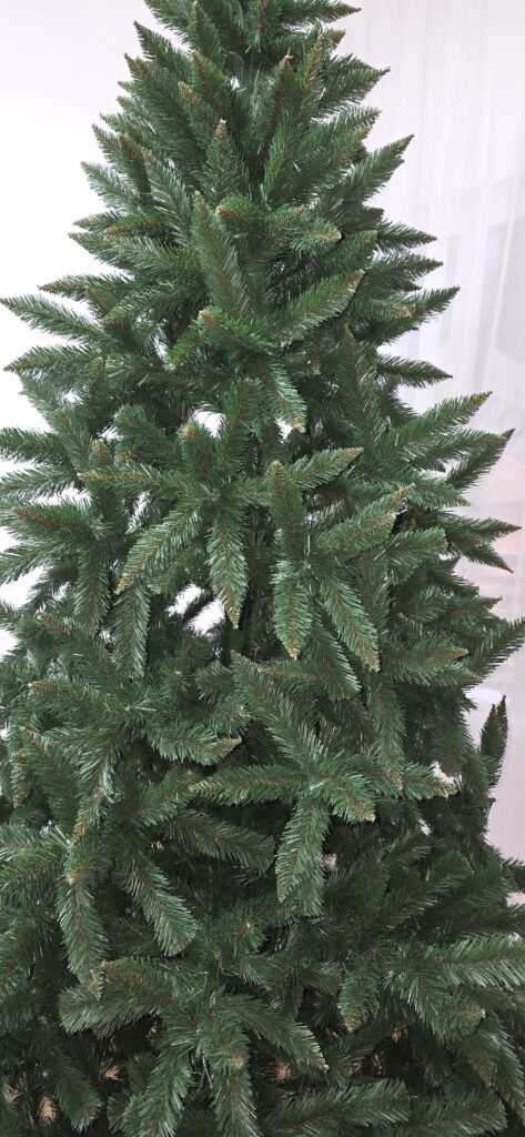 Image #3 from Roxana Muntean