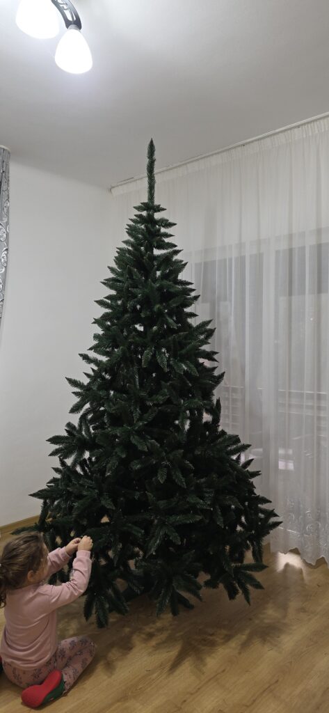 Image #1 from Roxana Muntean