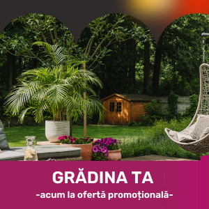 GRĂDINA TA