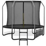 Trambulina Premium, Black, cu scara si plasa de protectie interioara, 305 cm