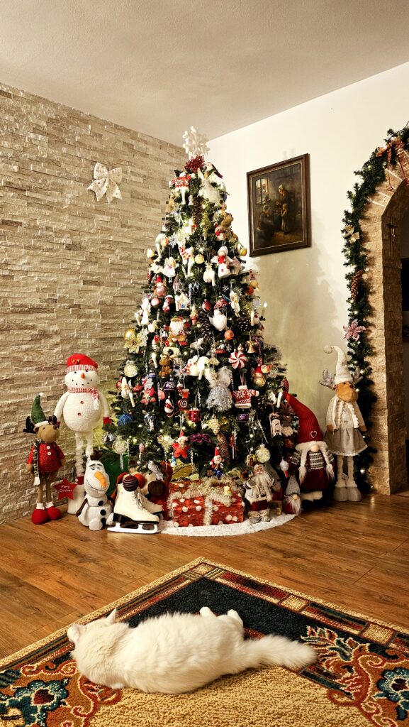 Image #1 from Larisa