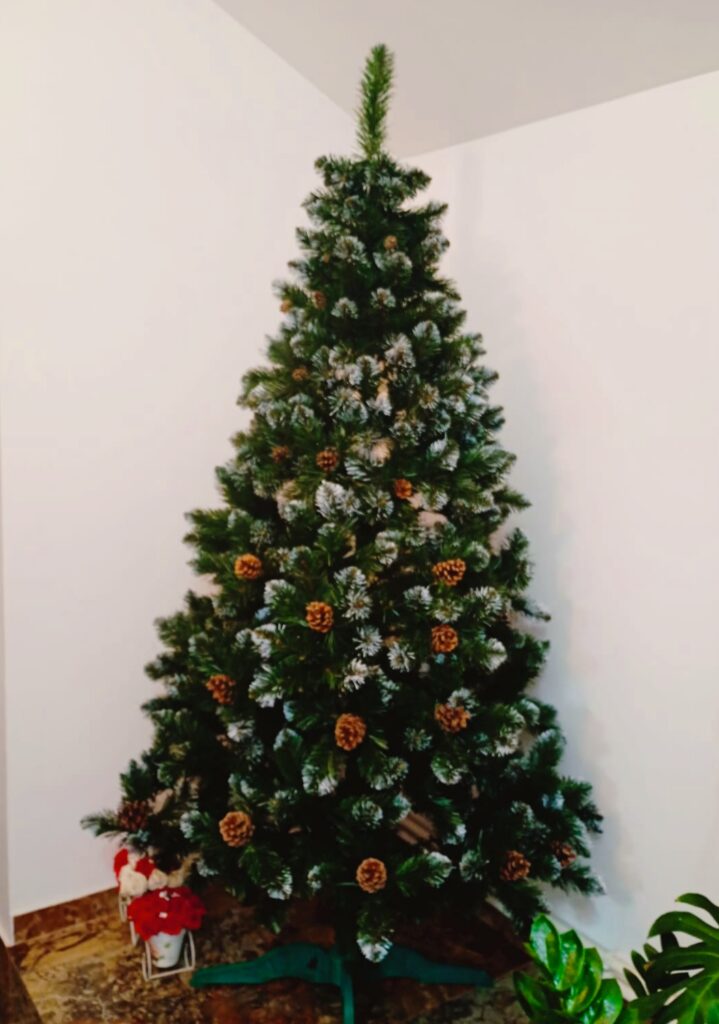 Image #1 from Elena Irimescu