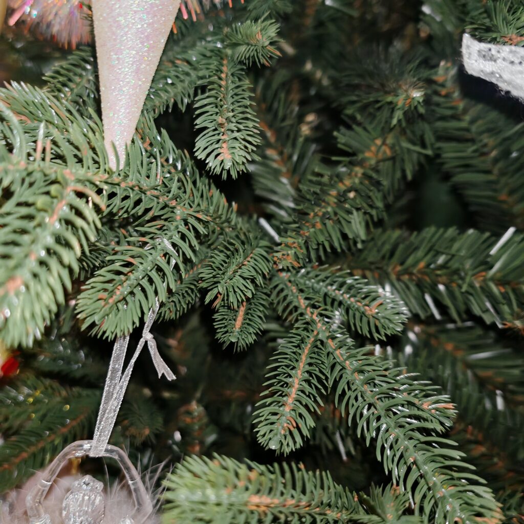 Image #1 from Silvia Dumitru