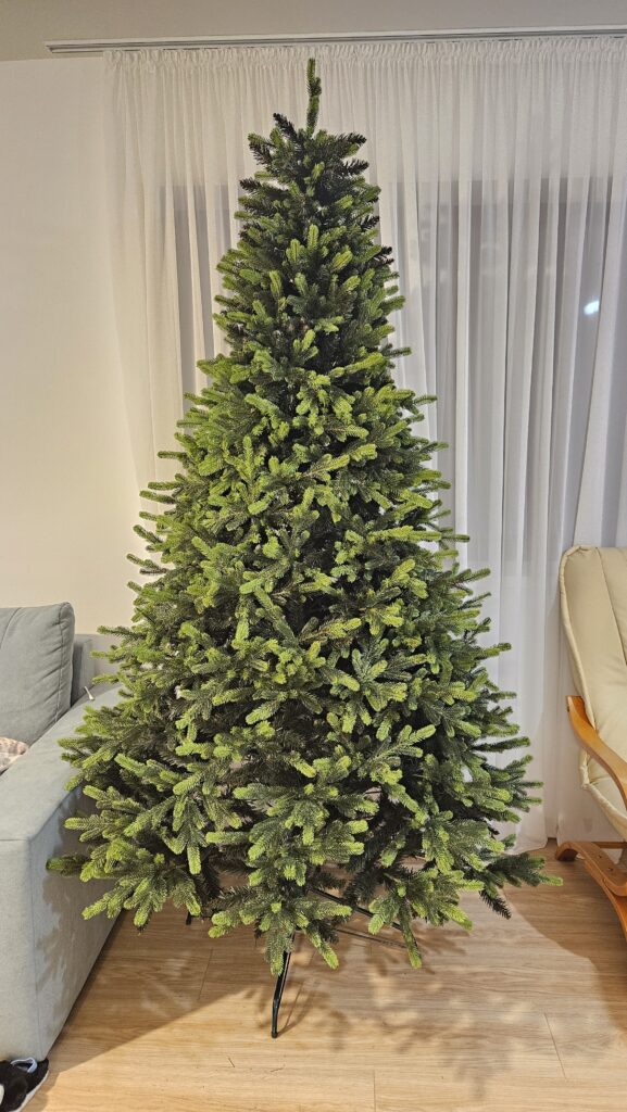 Image #1 from Silvana Ardes