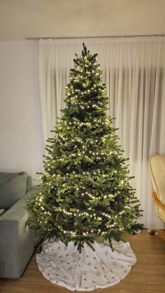 Image #2 from Silvana Ardes