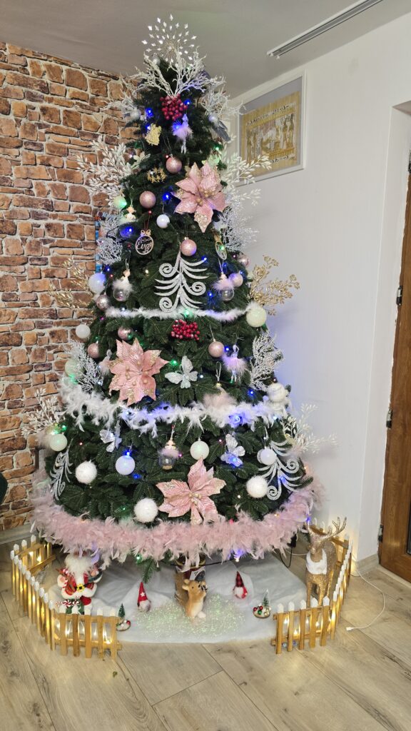 Image #1 from Andreea Catalina Ionita