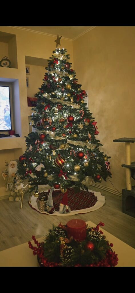 Image #1 from Paduraru Ioana