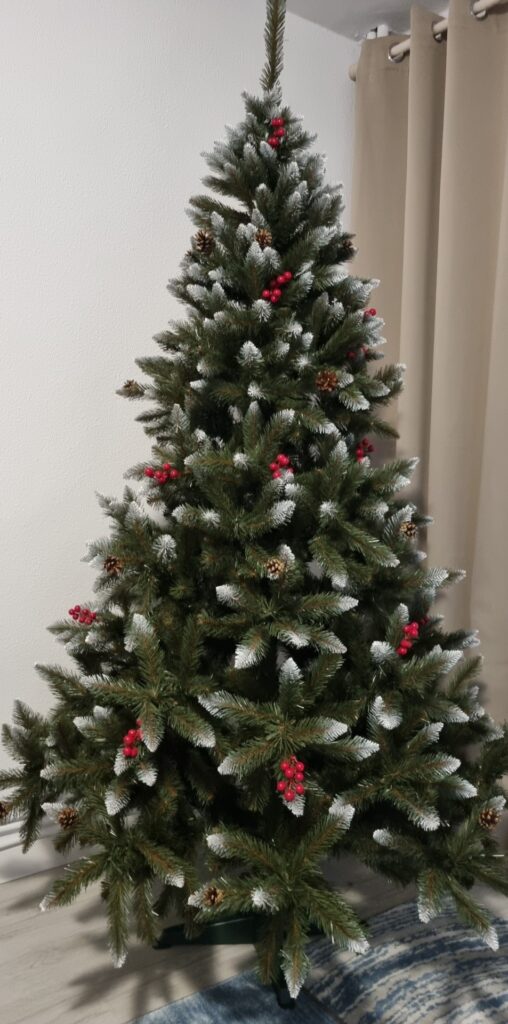 Image #1 from Ingrid