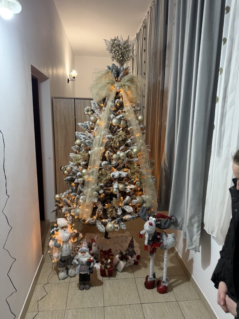 Image #1 from Simona georgiana Ianas