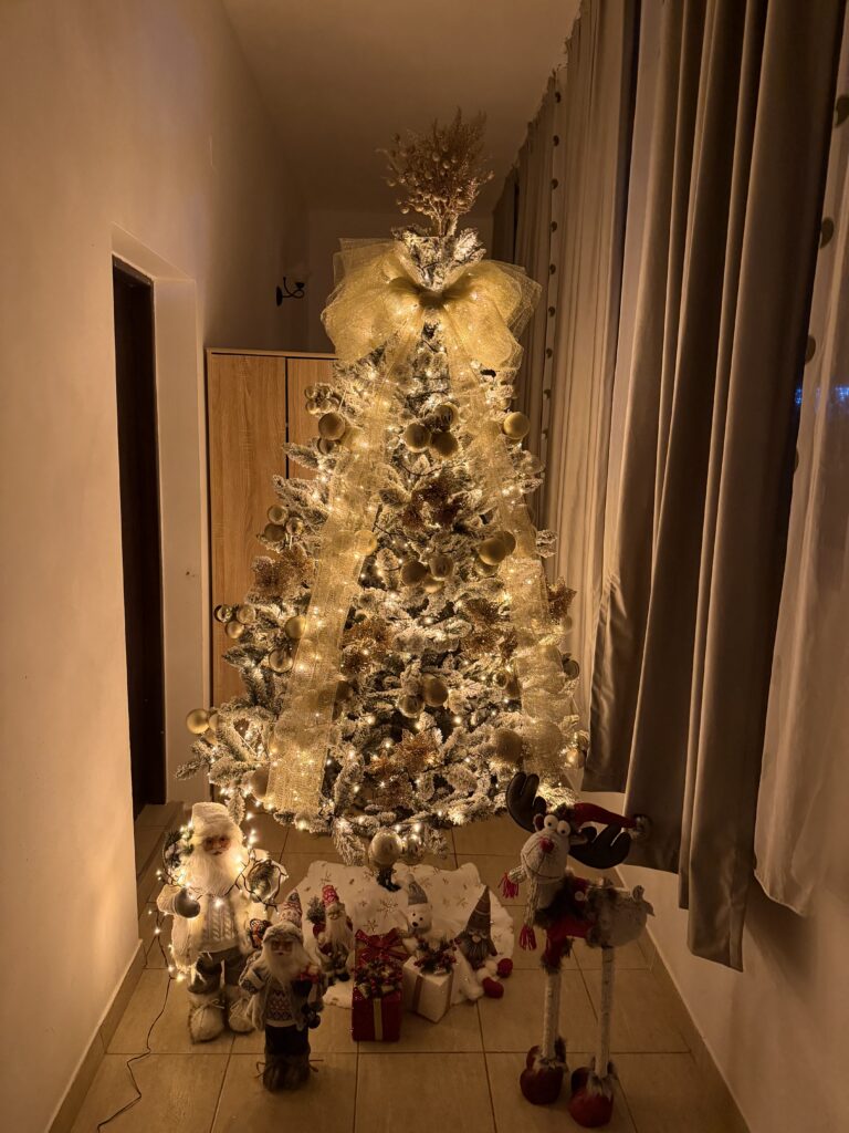 Image #2 from Simona georgiana Ianas