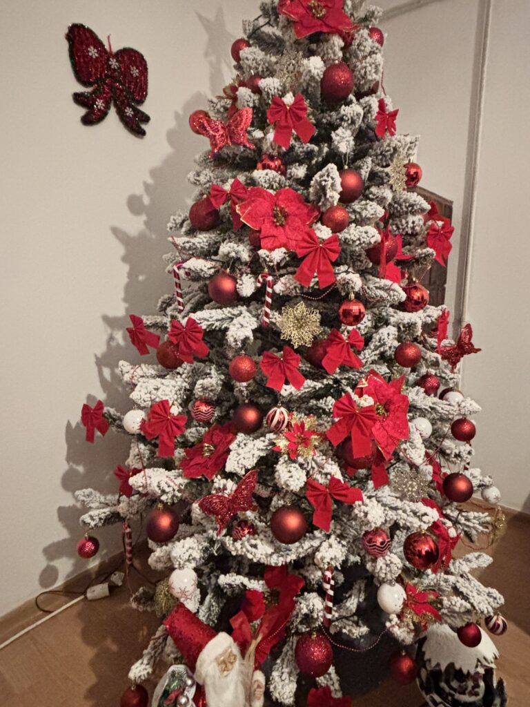 Image #1 from Indre Cristina