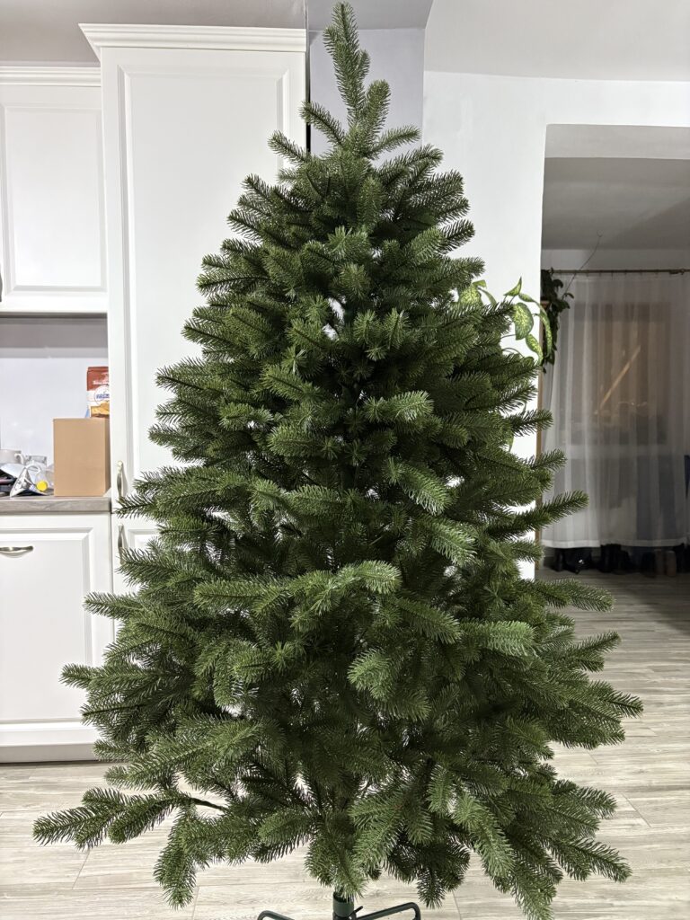 Image #1 from Antonia Tirlea