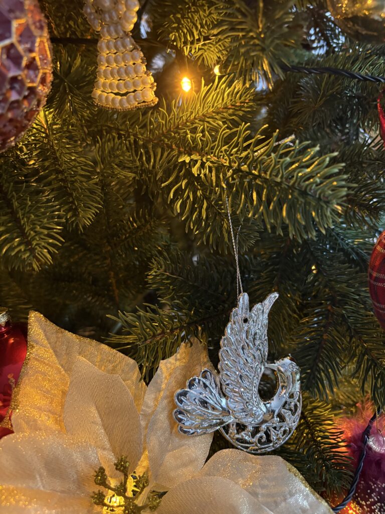 Image #3 from Antonia Tirlea