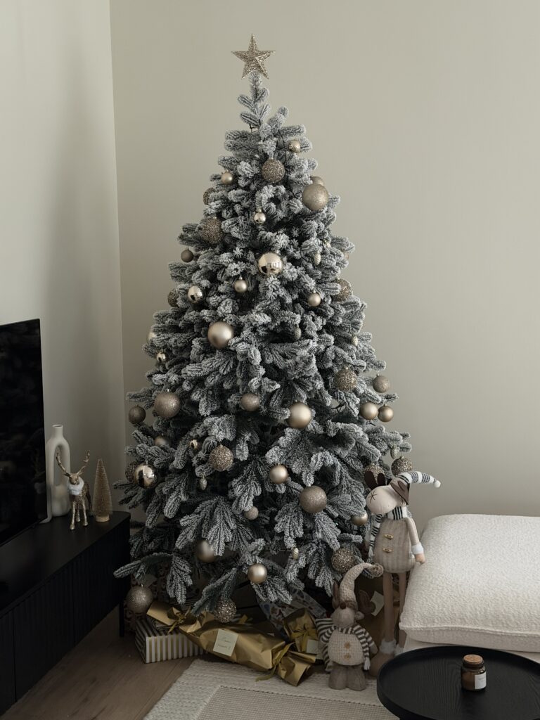 Image #1 from Rebeca