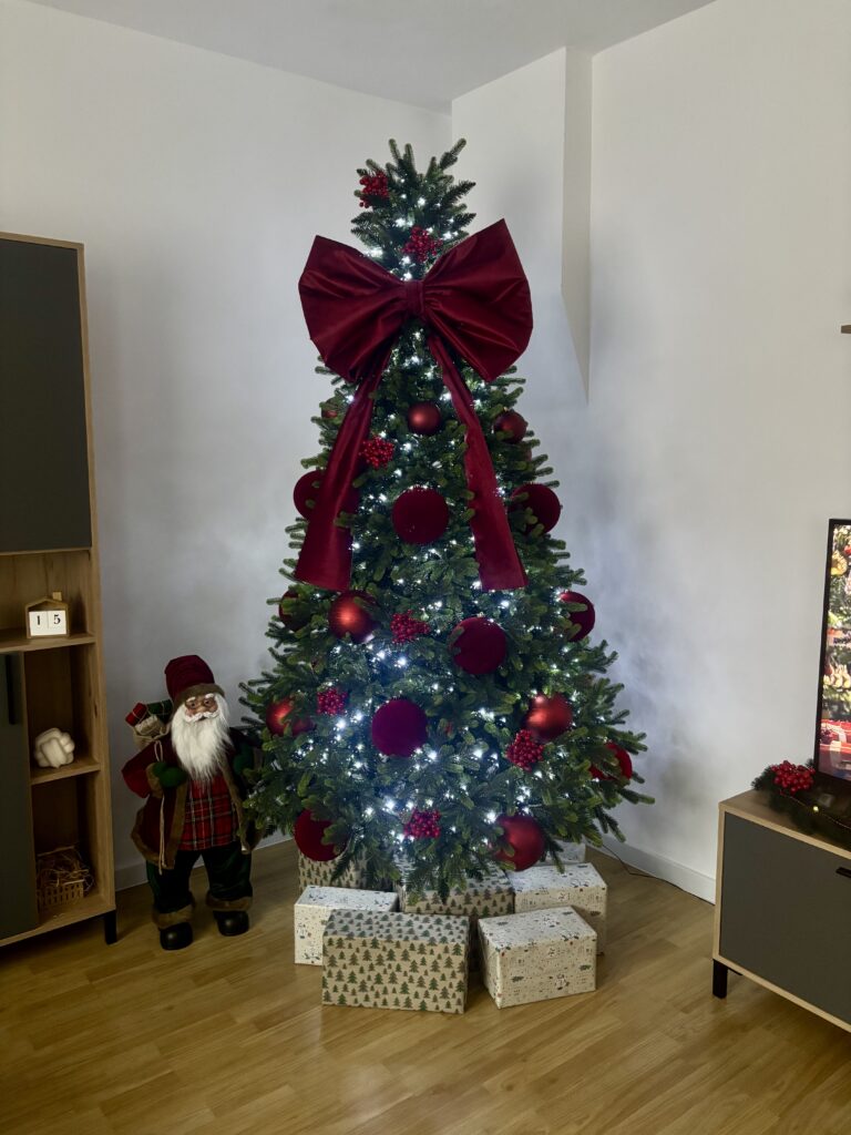 Image #1 from Carina