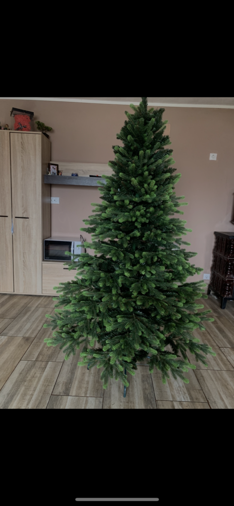 Image #1 from Ana B Maria