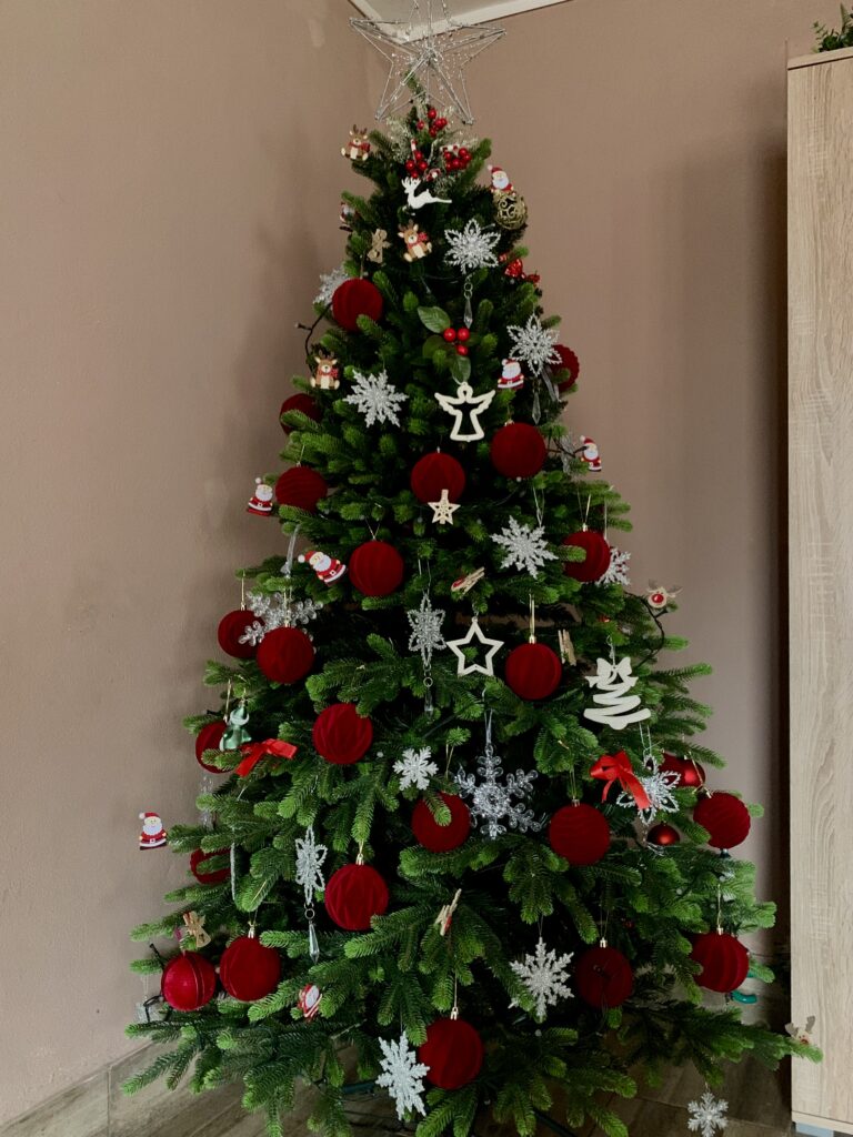 Image #2 from Ana B Maria