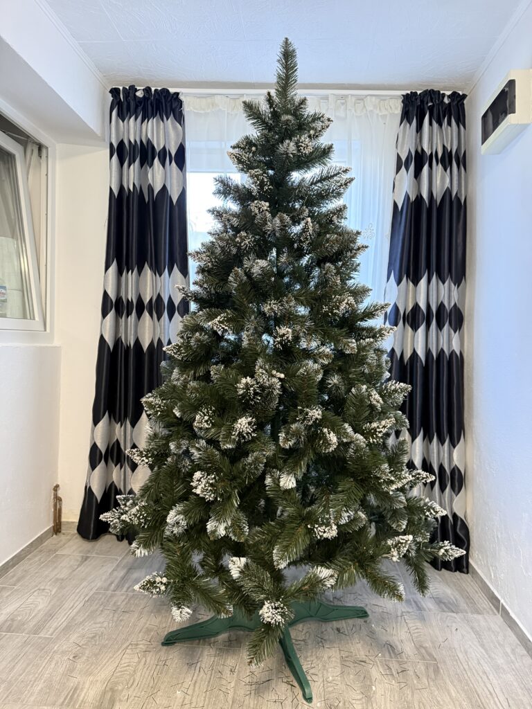 Image #2 from Gabriela Eremia