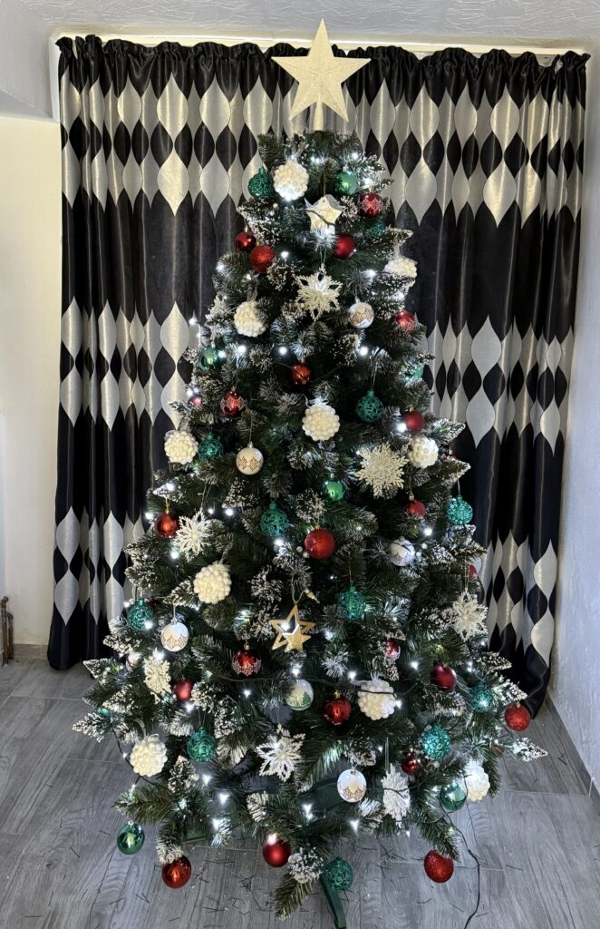 Image #1 from Gabriela Eremia