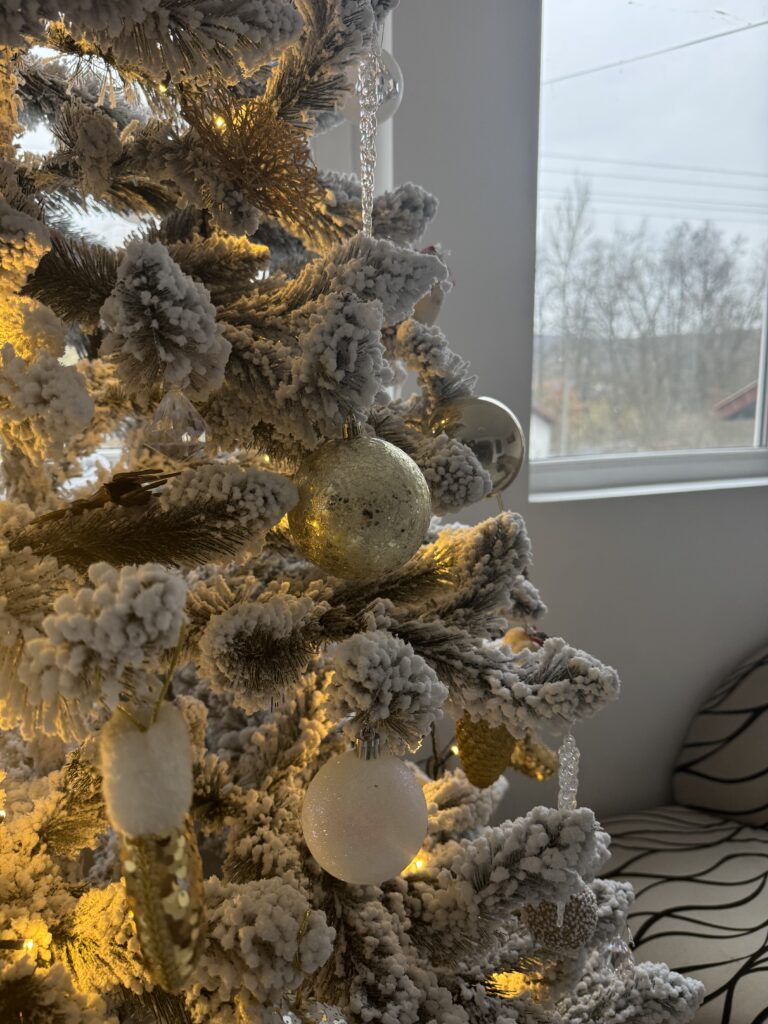 Image #2 from Dabu Alma