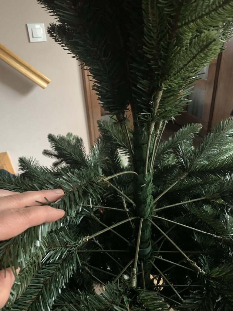 Image #1 from Nixandra Moldovan