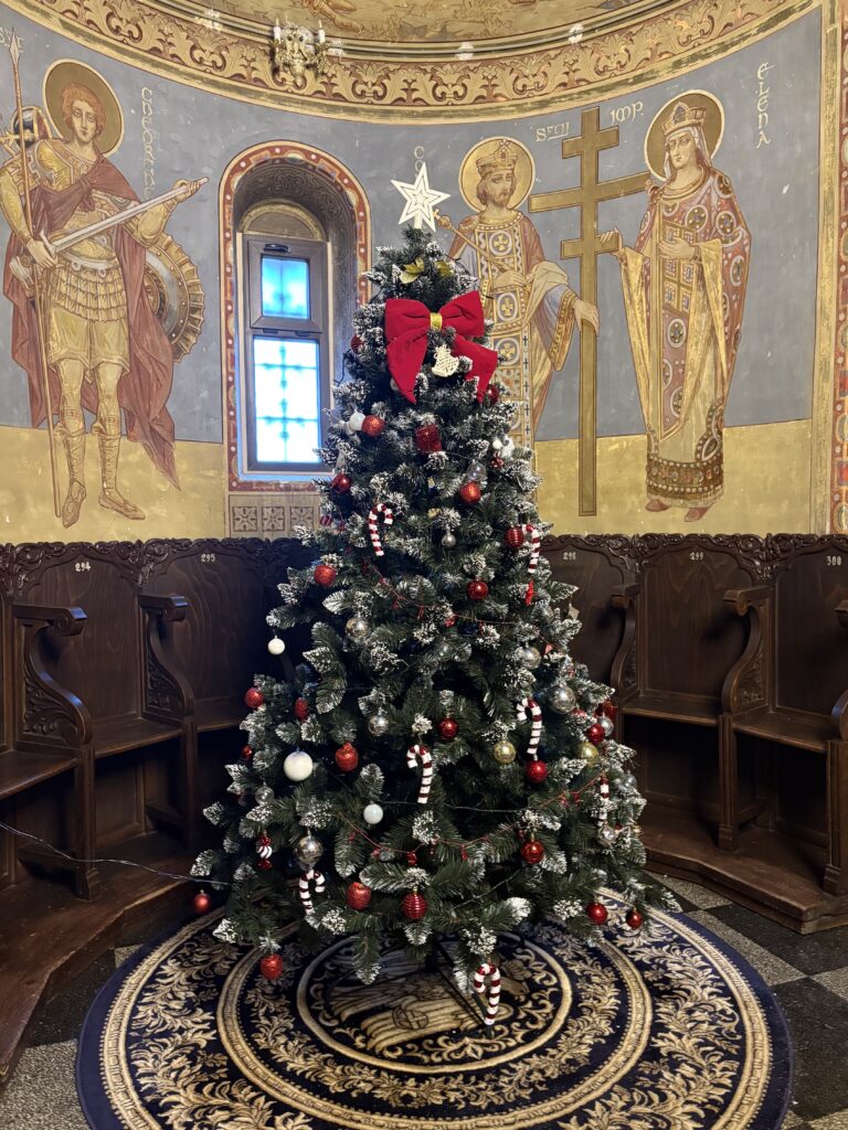 Image #1 from Denisa