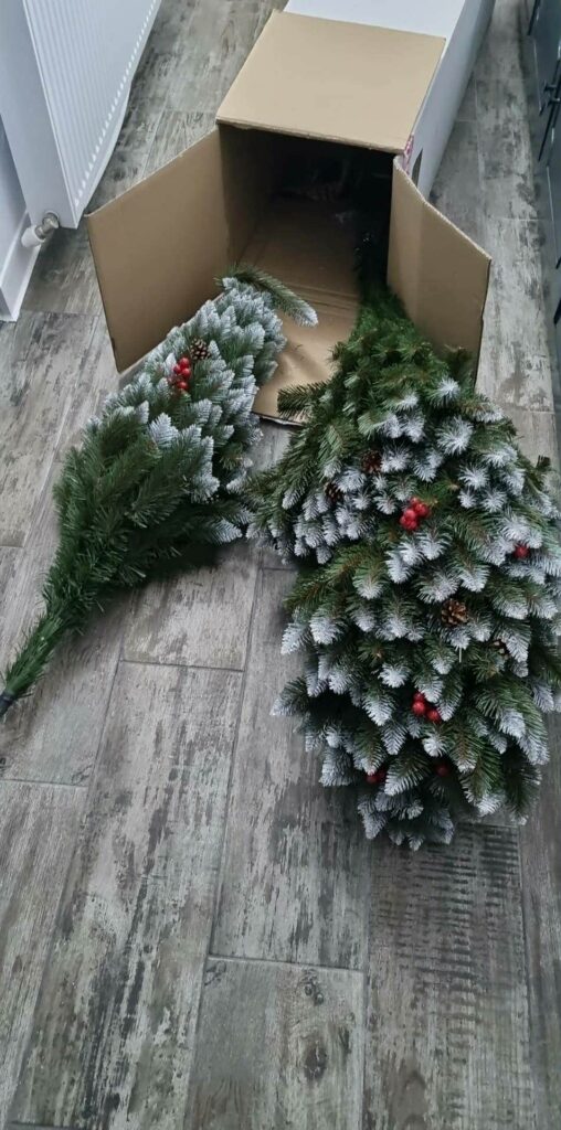 Image #2 from Ingrid