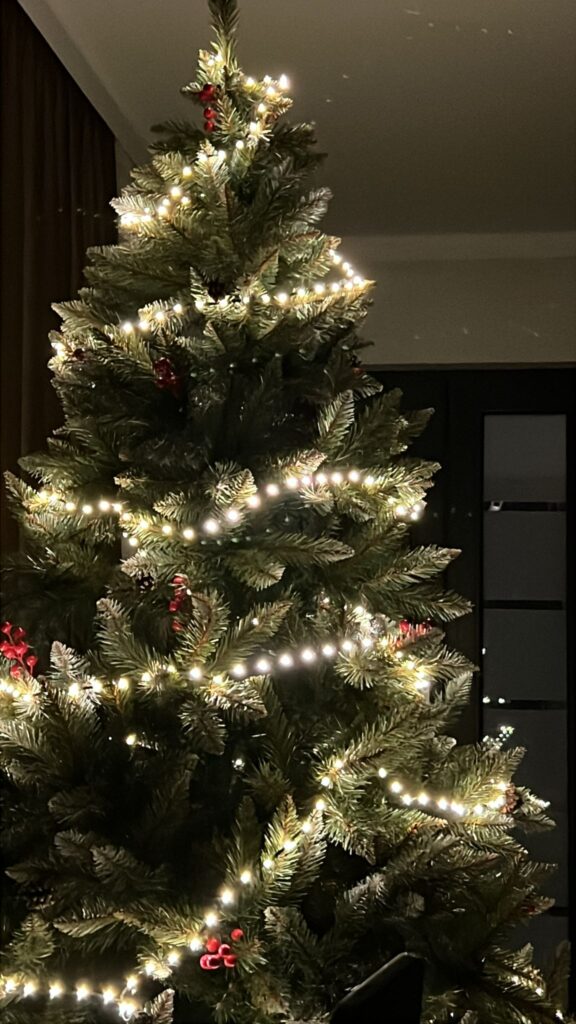 Image #2 from ANA MARIA CIOABA