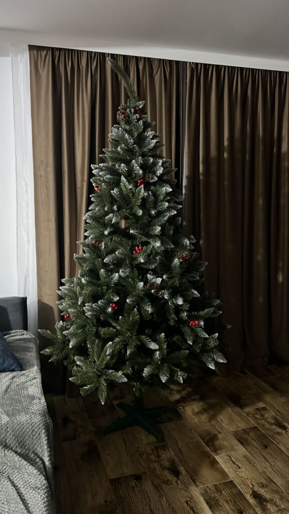 Image #1 from ANA MARIA CIOABA