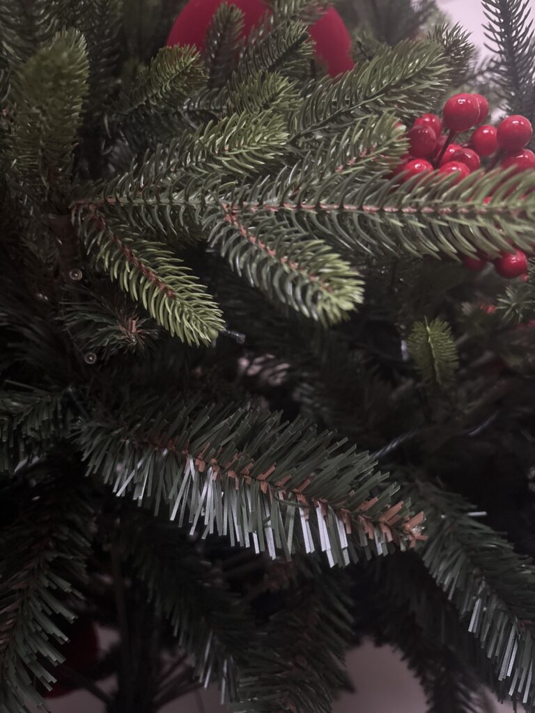 Image #2 from Carina