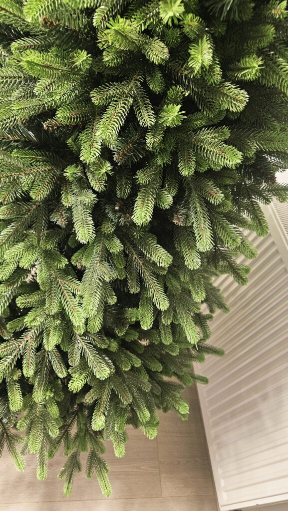 Image #3 from Angela Bucur