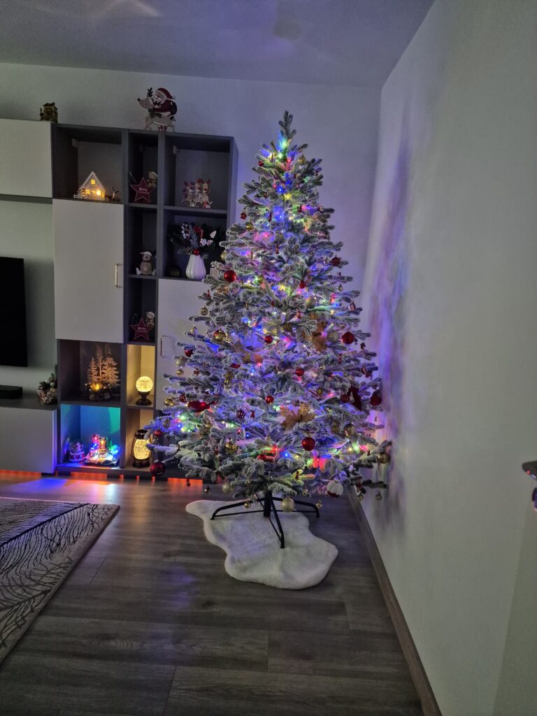 Image #3 from Corina Merlusca