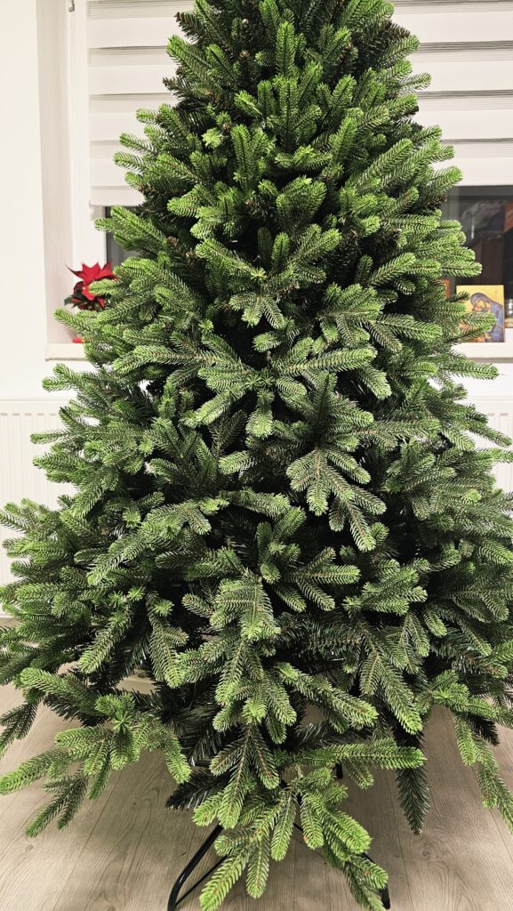 Image #1 from Angela Bucur