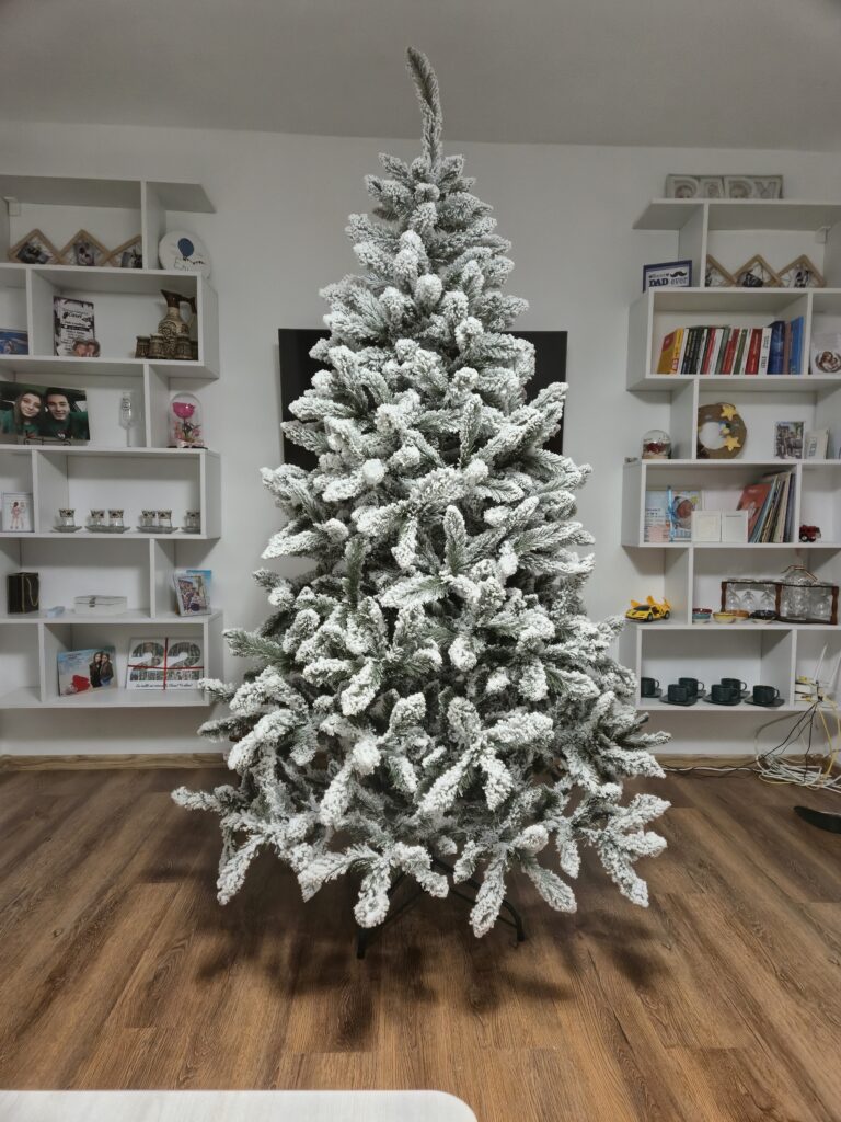 Image #2 from Ionut Marian Pislan