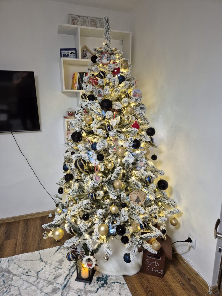 Image #1 from Ionut Marian Pislan