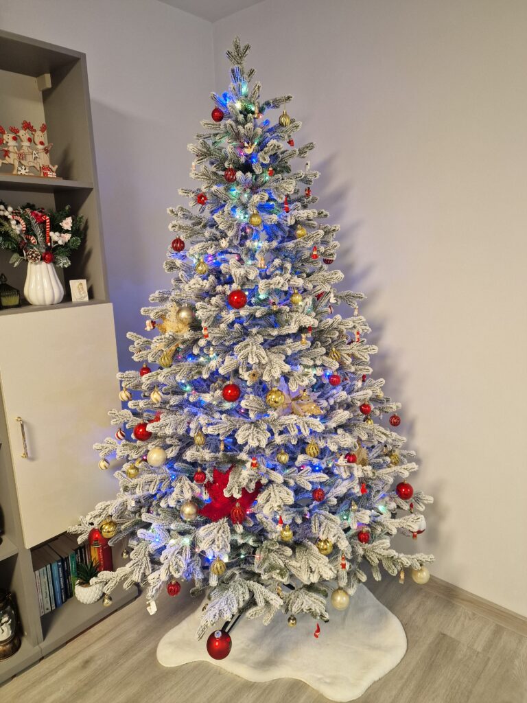 Image #2 from Corina Merlusca