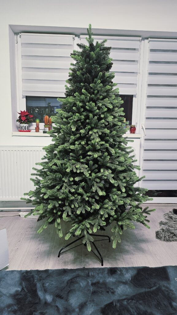 Image #4 from Angela Bucur