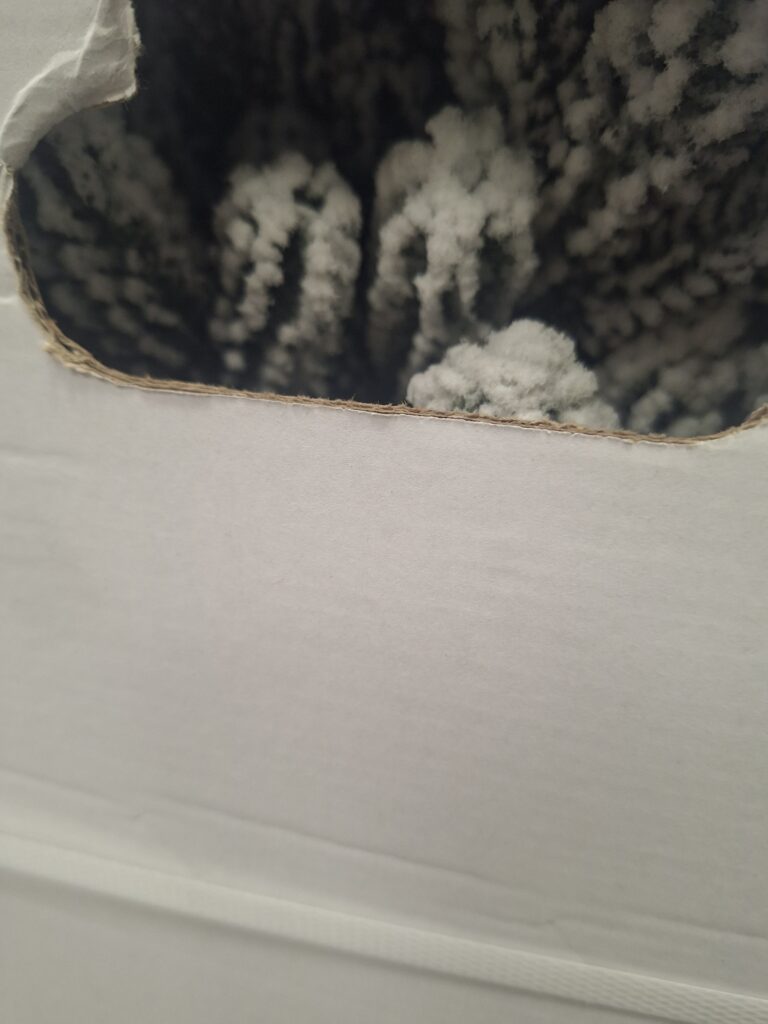 Image #1 from Pavel Carmen Alina