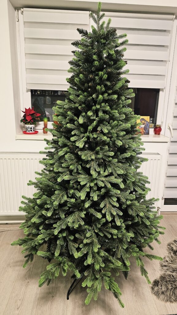 Image #2 from Angela Bucur