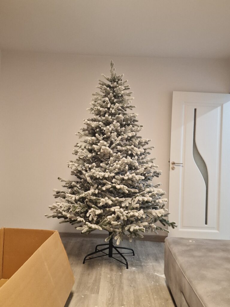 Image #1 from Corina Merlusca