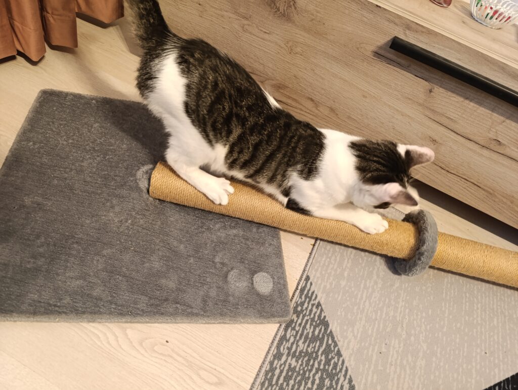 Image #2 from Csilla