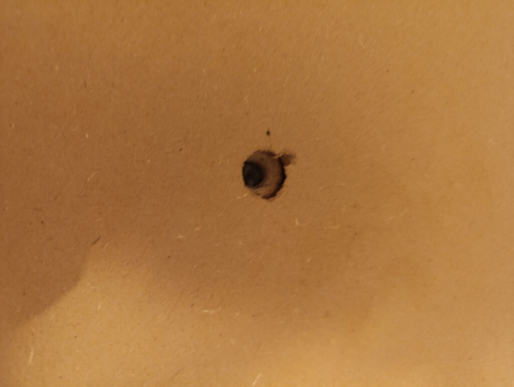 Image #4 from Csilla