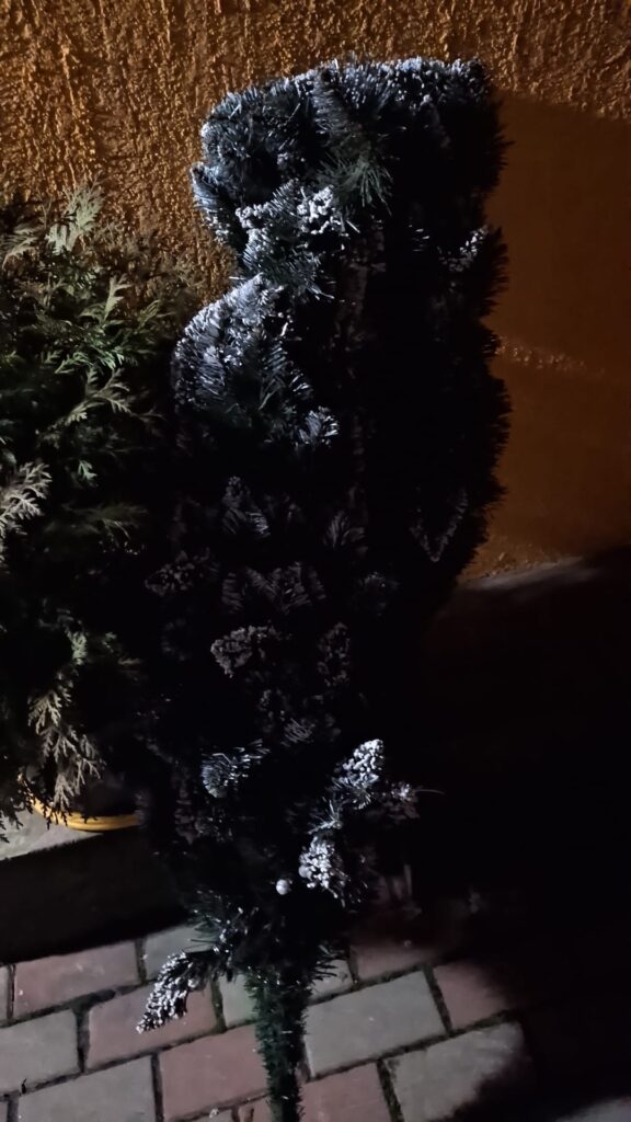 Image #2 from Mirela