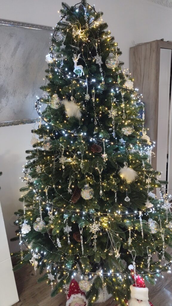 Image #1 from Barbos Vasilica Mihaela