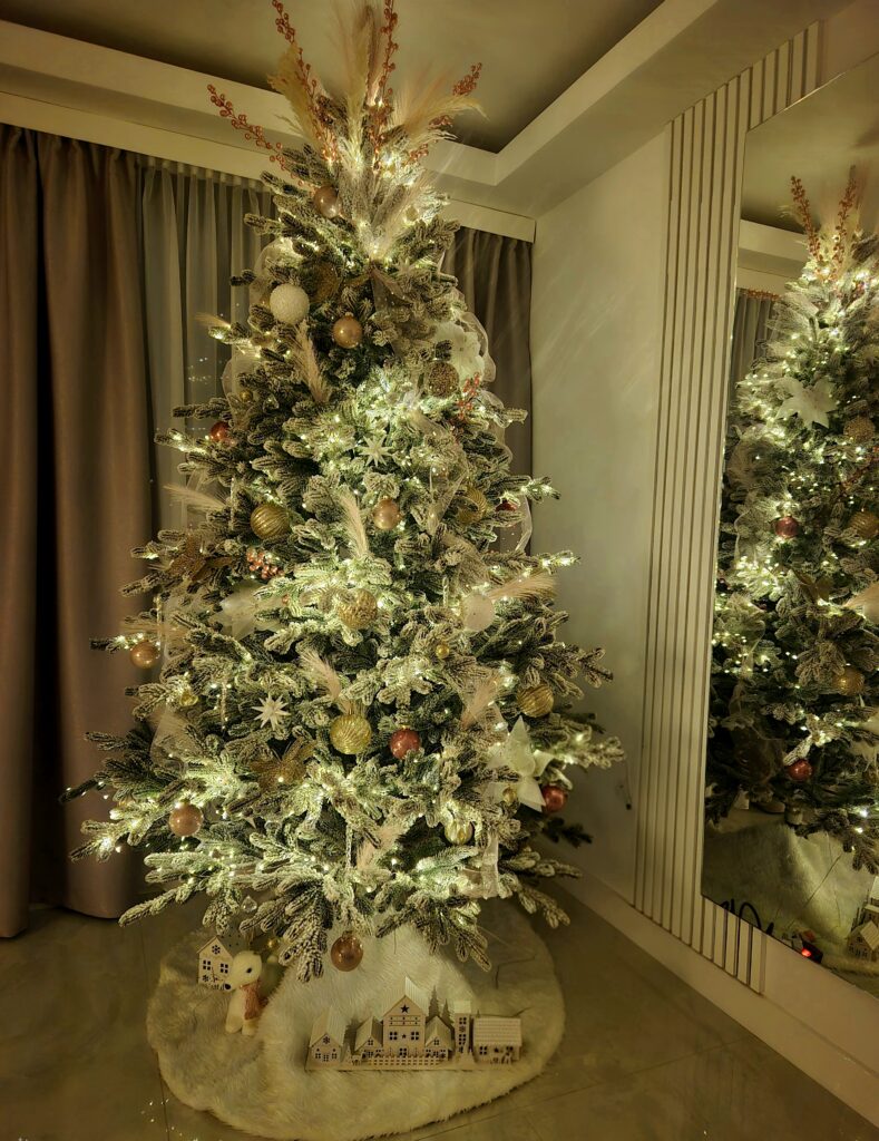 Image #1 from Corcoada Andreea Madalina