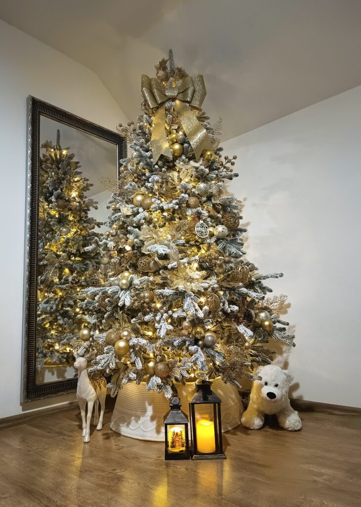 Image #1 from Andreea Medrihan