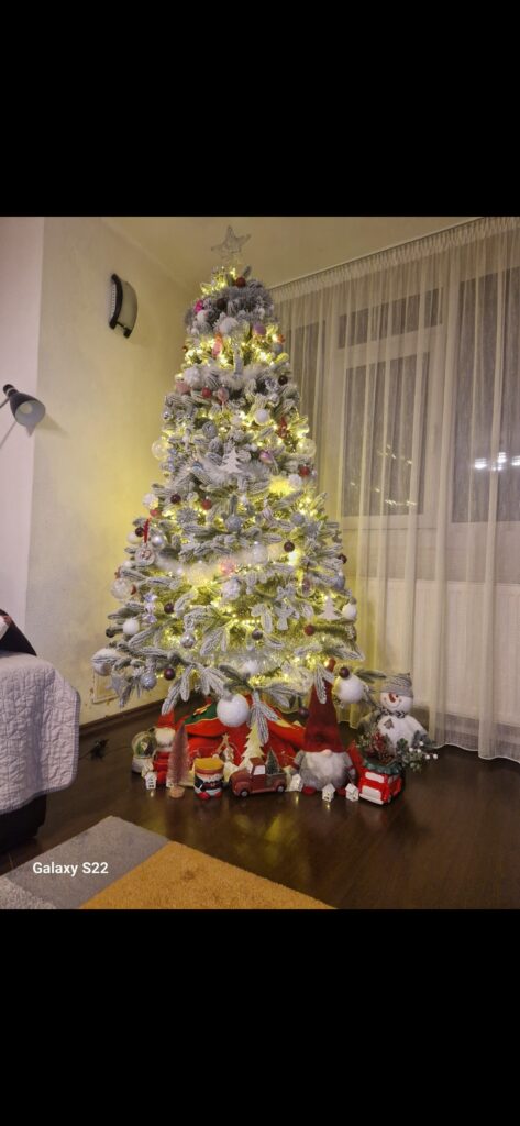 Image #1 from Nicoleta Georgescu