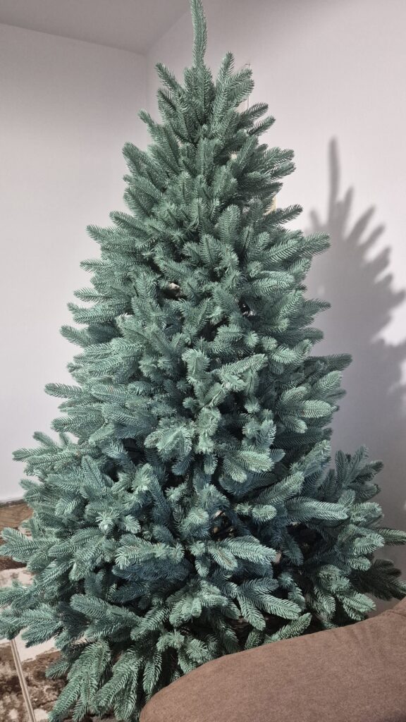 Image #2 from Șelariu Nadia